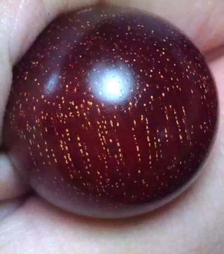 СҶ̴ٽִ